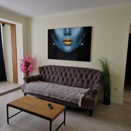 University Apartment Baia Mare Zewnętrze zdjęcie