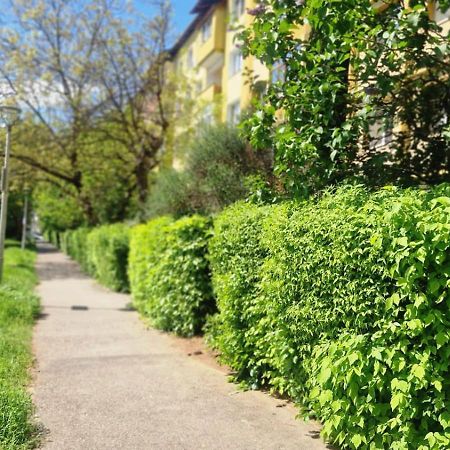 University Apartment Baia Mare Zewnętrze zdjęcie