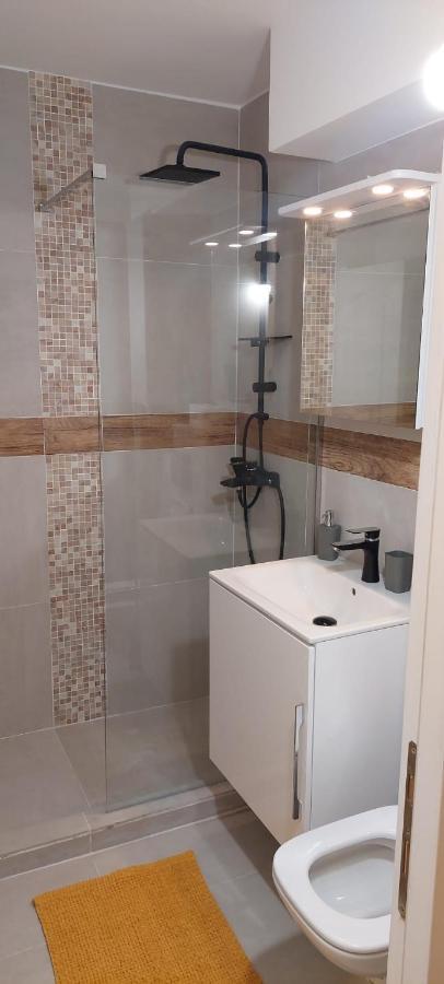 University Apartment Baia Mare Zewnętrze zdjęcie