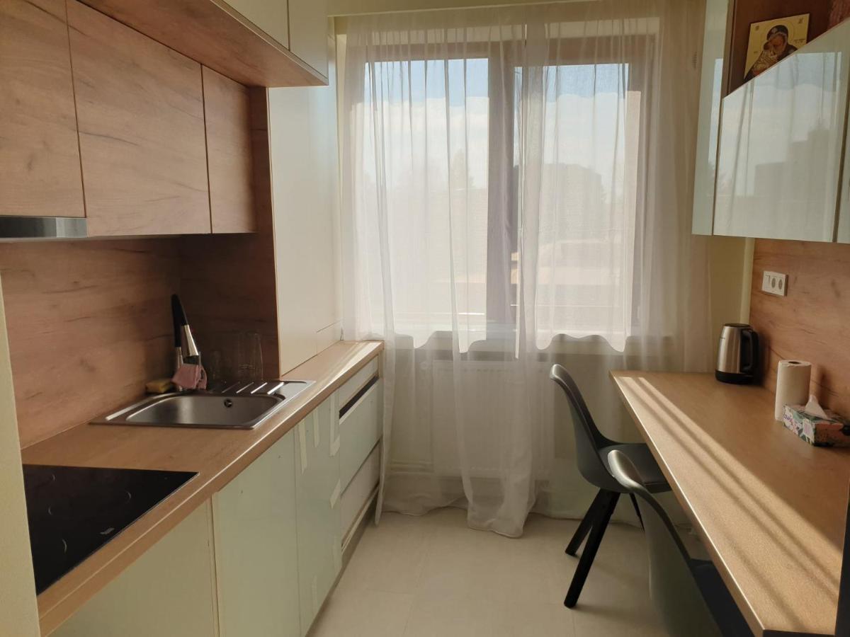 University Apartment Baia Mare Zewnętrze zdjęcie