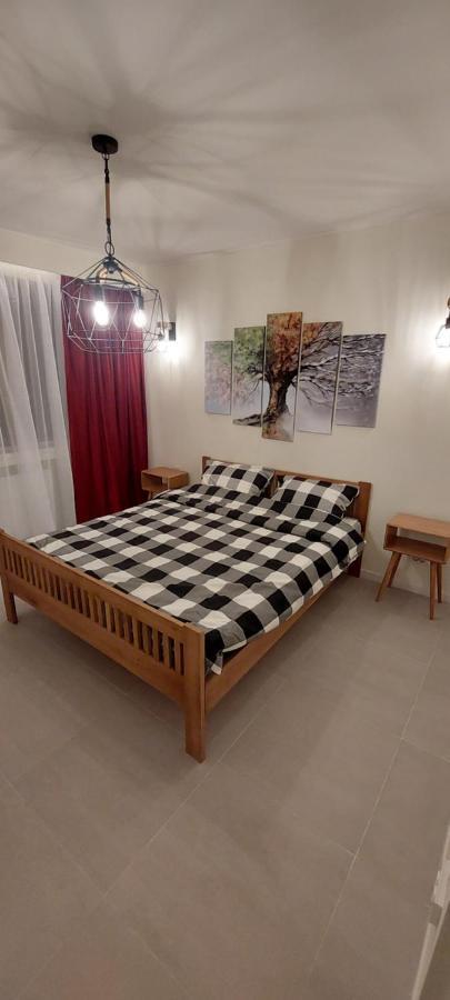 University Apartment Baia Mare Zewnętrze zdjęcie