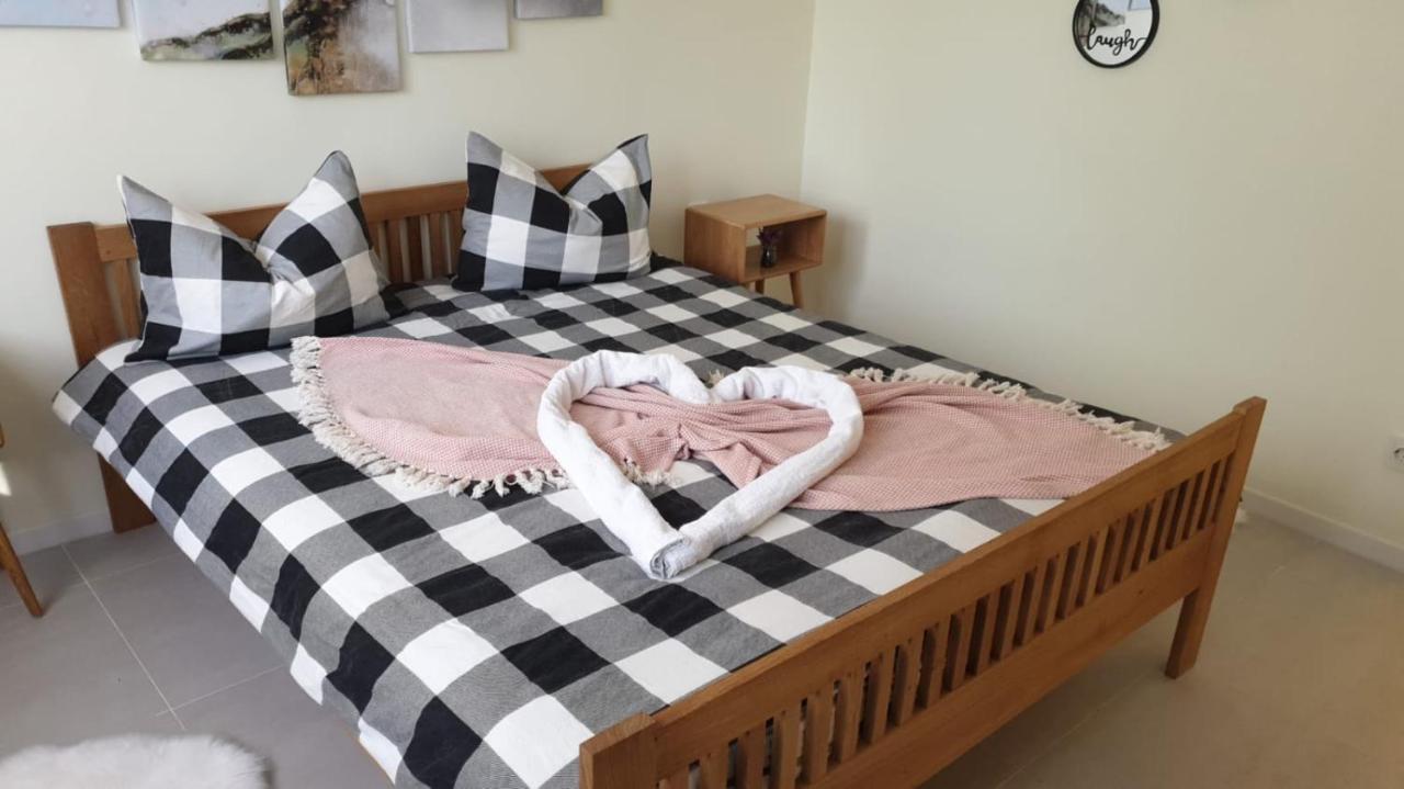 University Apartment Baia Mare Zewnętrze zdjęcie