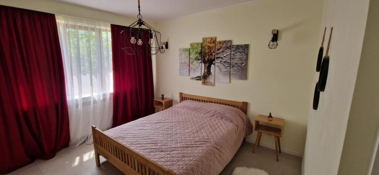 University Apartment Baia Mare Zewnętrze zdjęcie