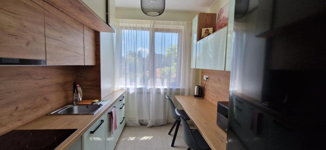 University Apartment Baia Mare Zewnętrze zdjęcie